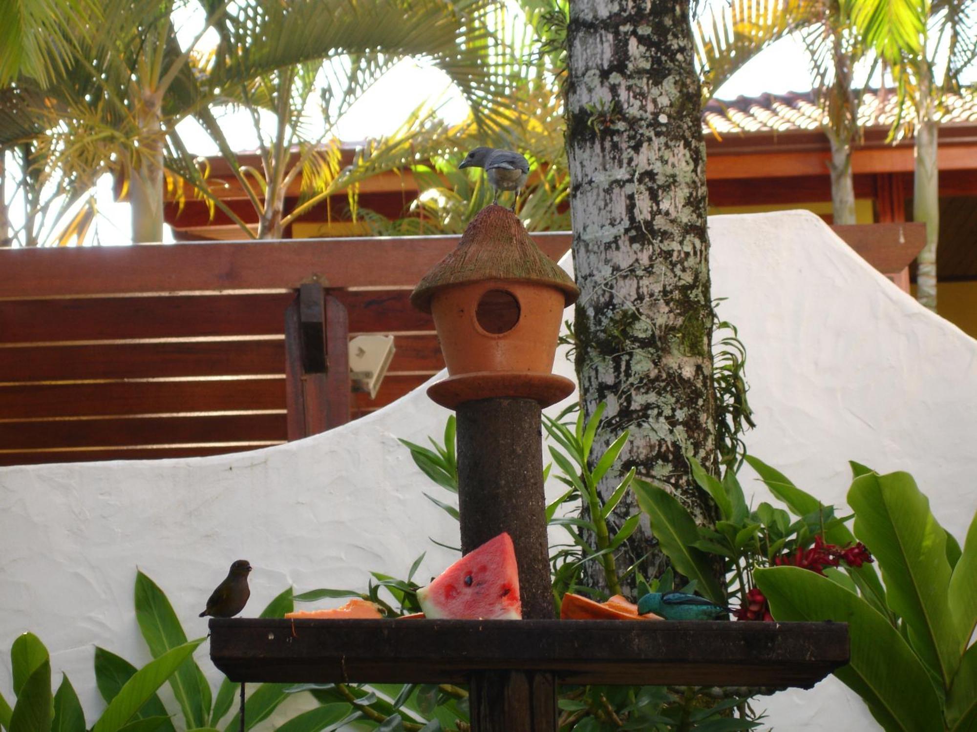 Pousada Torre Del Mar Ubatuba Eksteriør bilde
